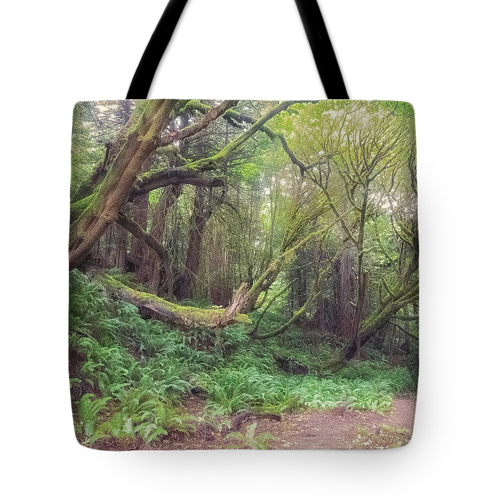 Forest Tote Bag featuring the photograph The Kind Bending of FOrest Beings by Lynn Wohlers