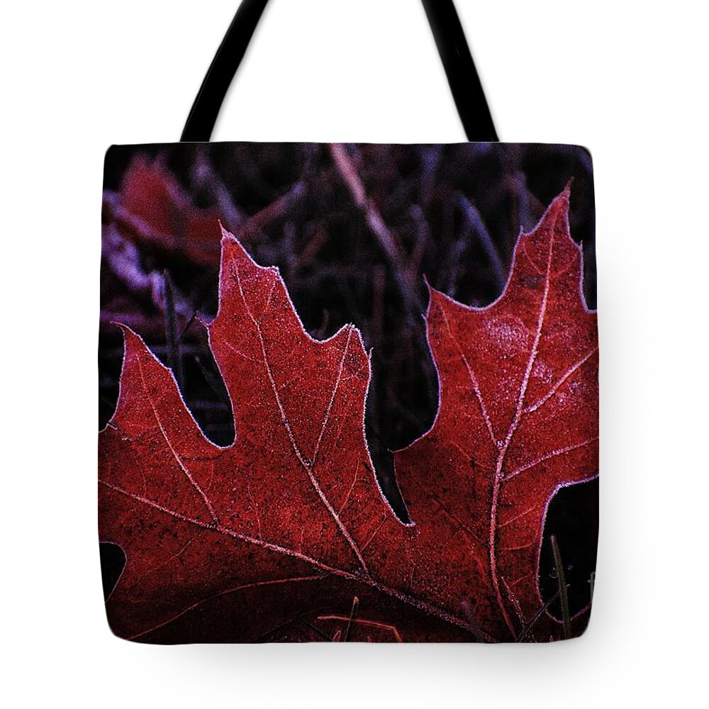 Leaf Tote Bag featuring the photograph The Last Hurrah by Jimmy Chuck Smith