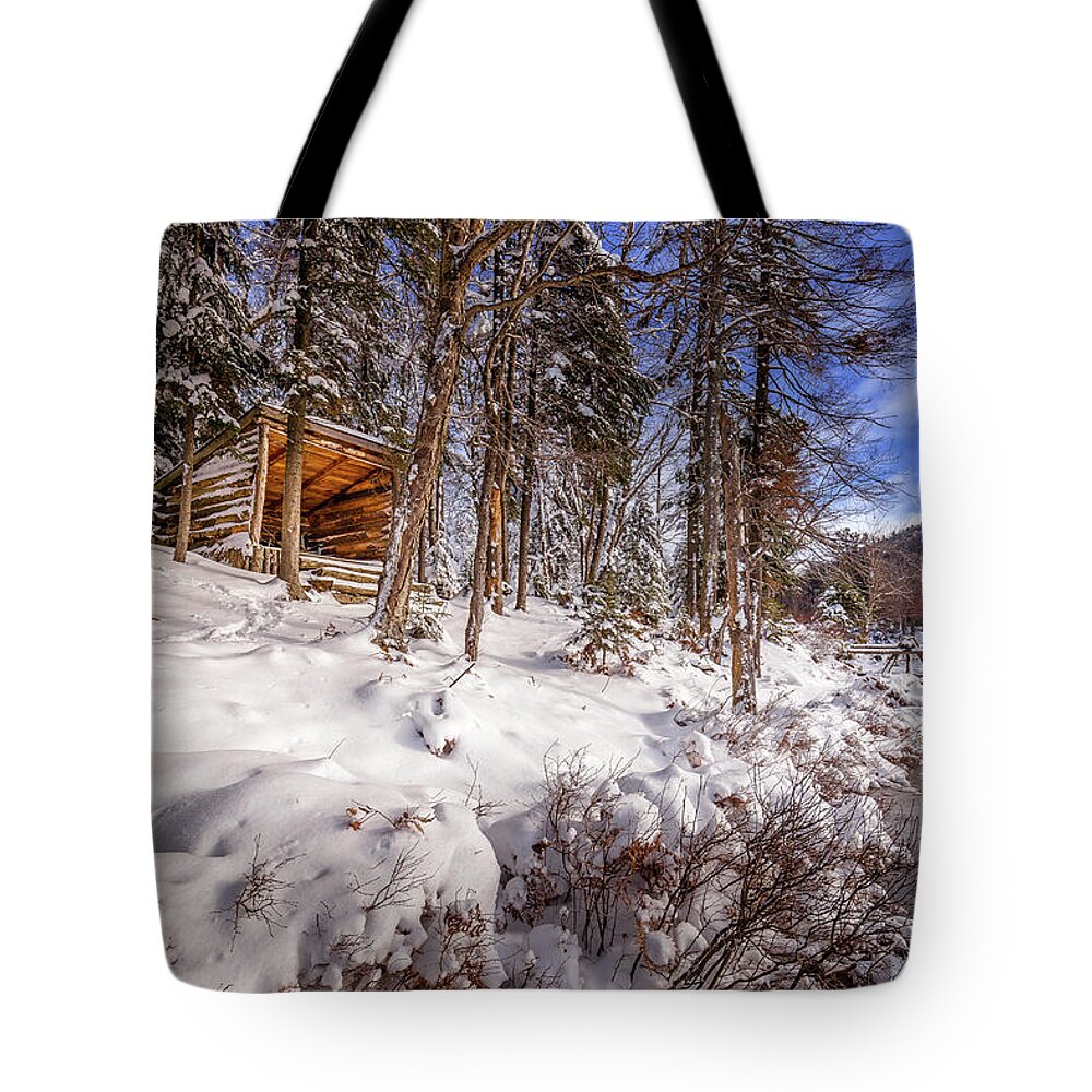 The Lean-to Tote Bag featuring the photograph The Lean-to by David Patterson