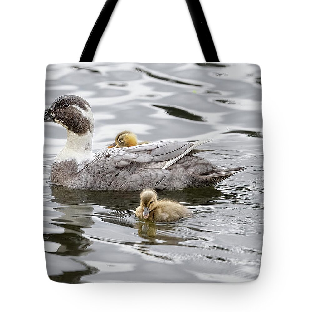 Ducks Tote Bag featuring the photograph The Little Ones by Jerry Cahill