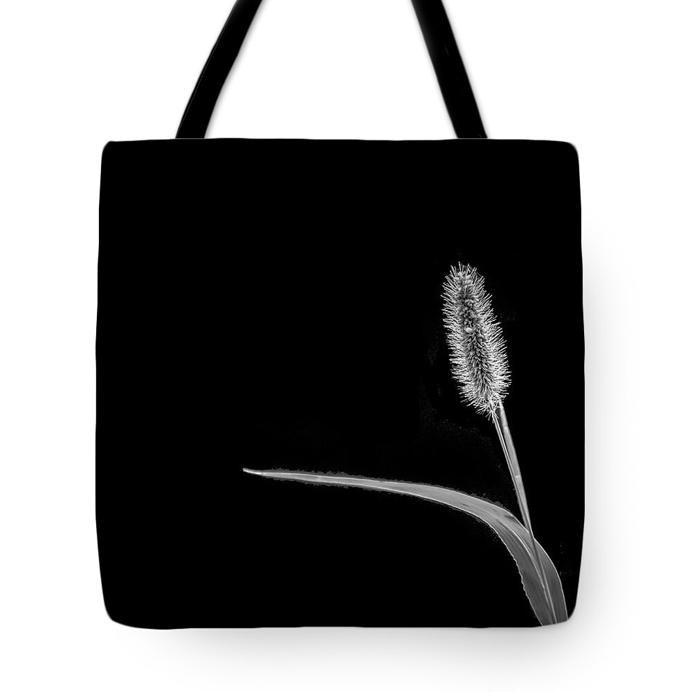 Grass Tote Bag featuring the photograph The Little Things BW by Cathy Kovarik