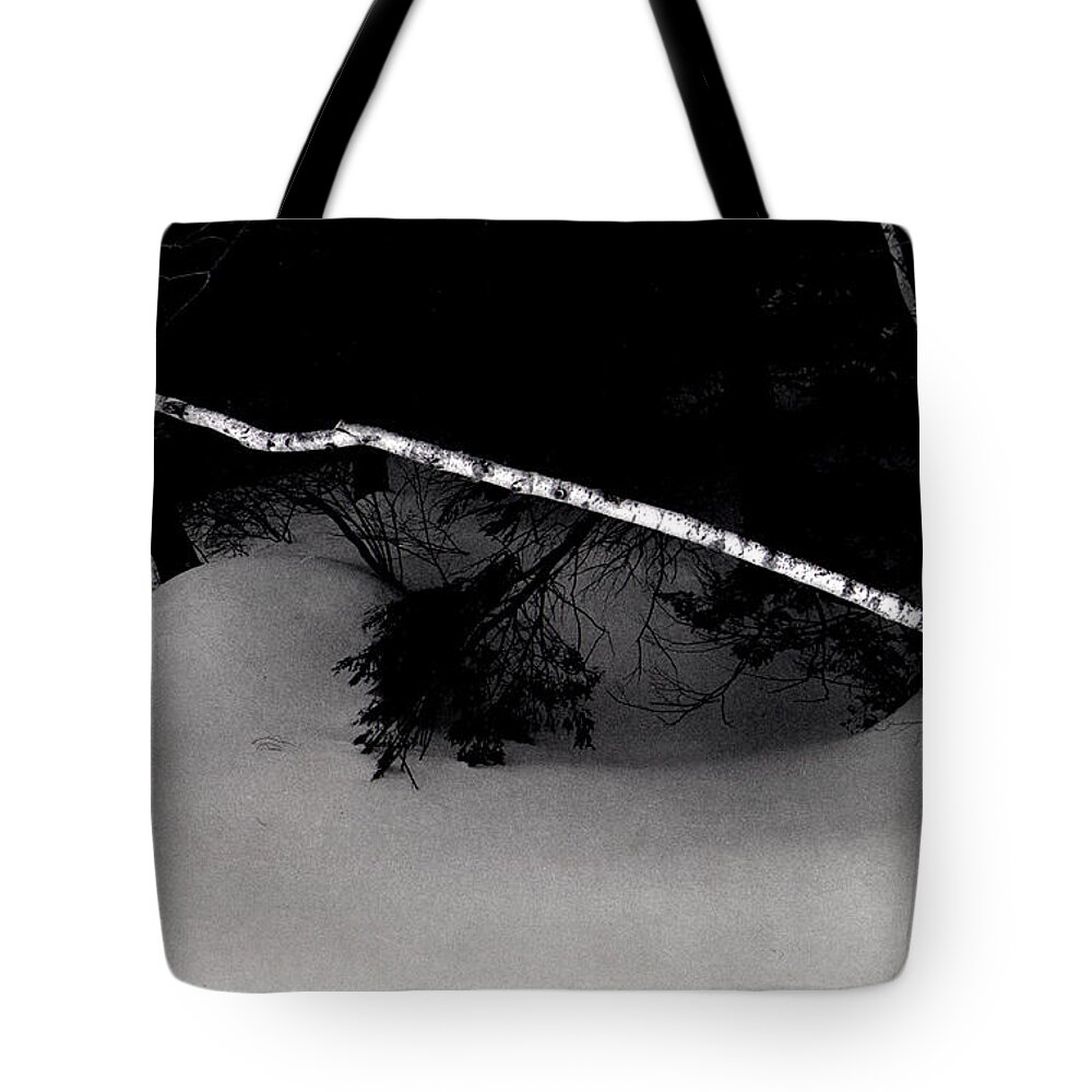 Snow Tote Bag featuring the photograph The Lone Birch by Wayne King