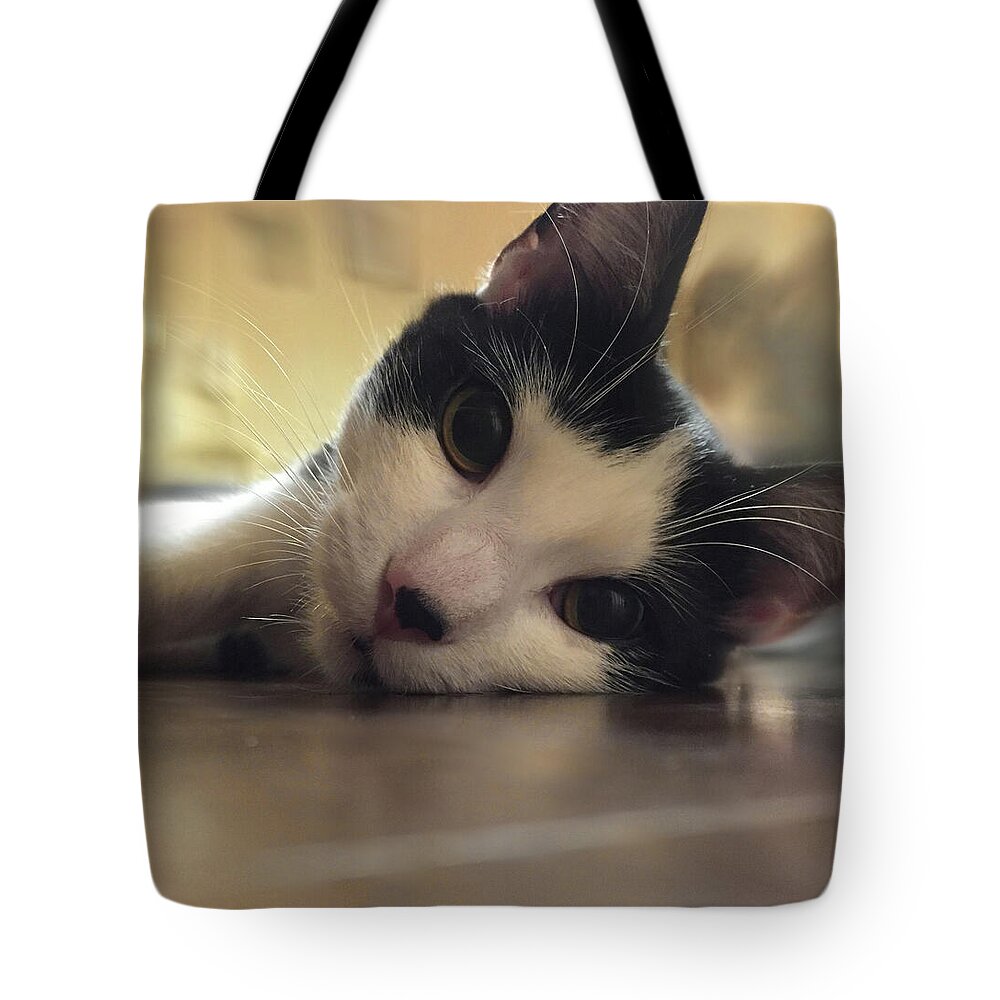 The Look Tote Bag featuring the photograph The Look- a cute cat portrait by Shelli Fitzpatrick
