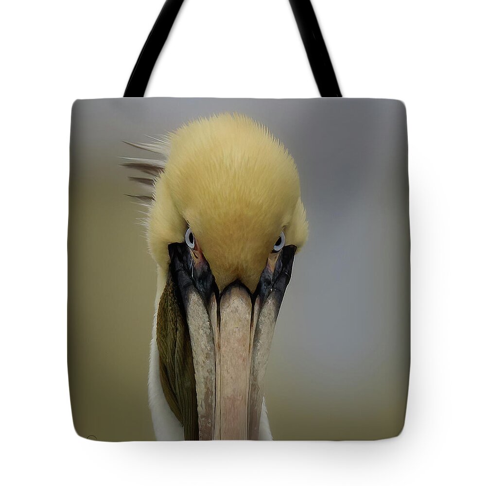 Pelican Tote Bag featuring the photograph The Look by JASawyer Imaging