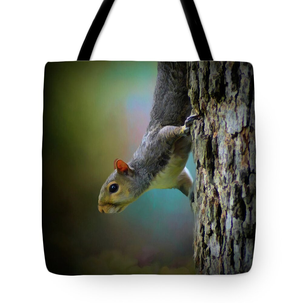 Gray Squirrel Tote Bag featuring the mixed media The Lookout by Kathy Kelly
