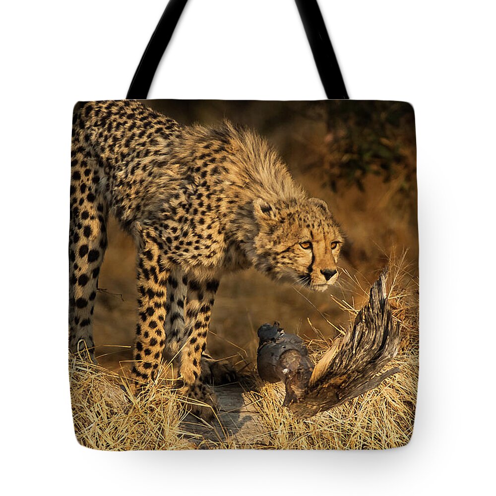 Cheetah Tote Bag featuring the photograph The Lookout by Linda Villers