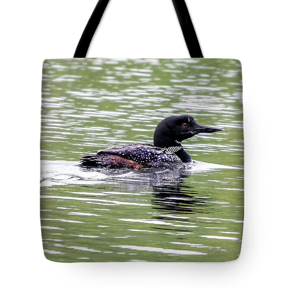 Loon Tote Bag featuring the photograph The Loon in the Morning by Regina Muscarella