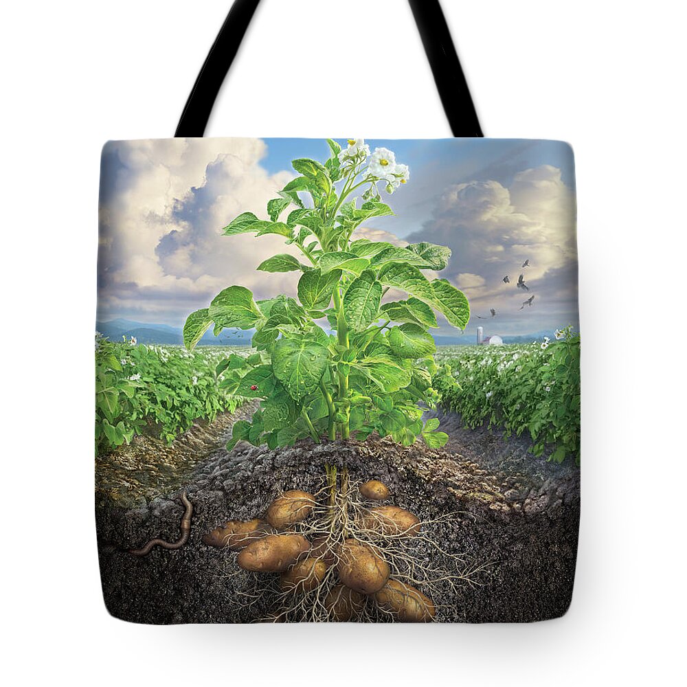 Potato Tote Bag featuring the digital art The Mighty Russet by Mark Fredrickson