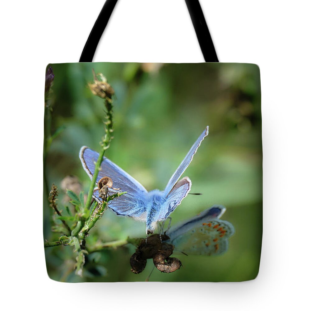 Lac Fauvel Tote Bag featuring the photograph The Mirrors Butterfly by Carl Marceau