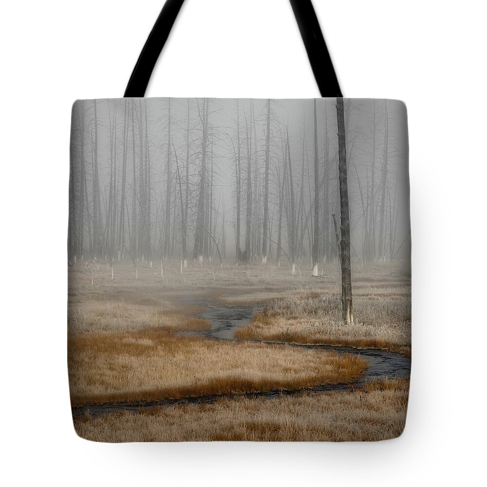 Woods Tote Bag featuring the photograph The Misty Wood by Kenneth Everett