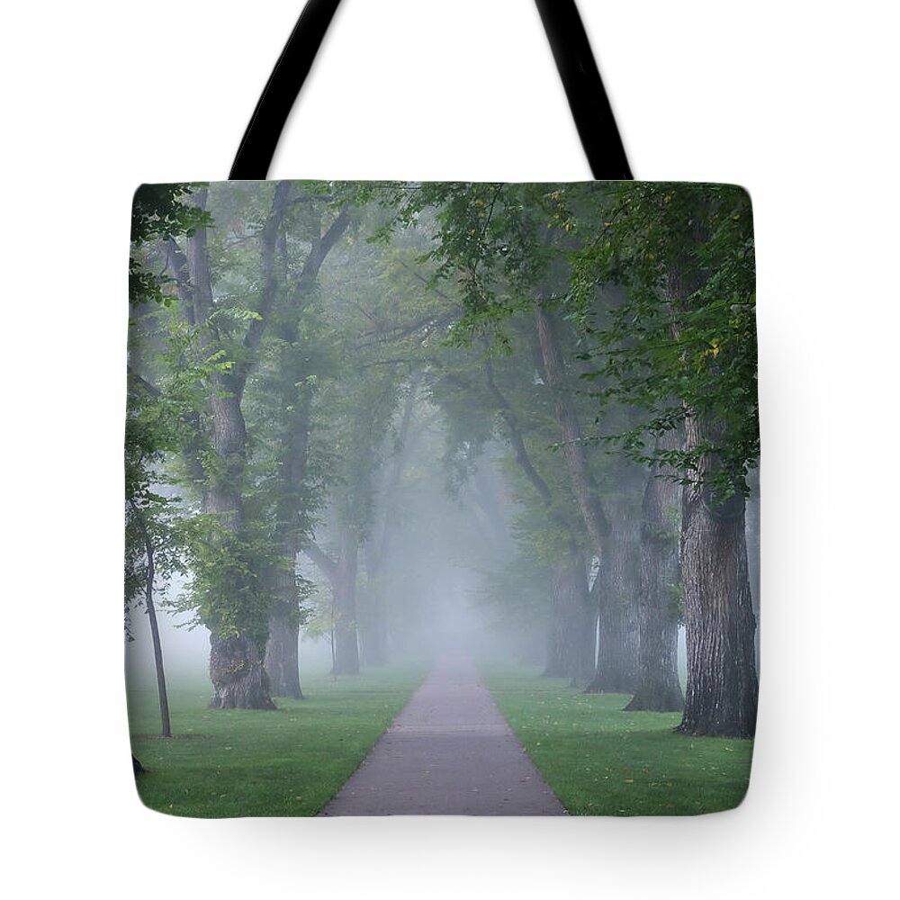 Campus Tote Bag featuring the photograph The Mystery Within Fog by Monte Stevens