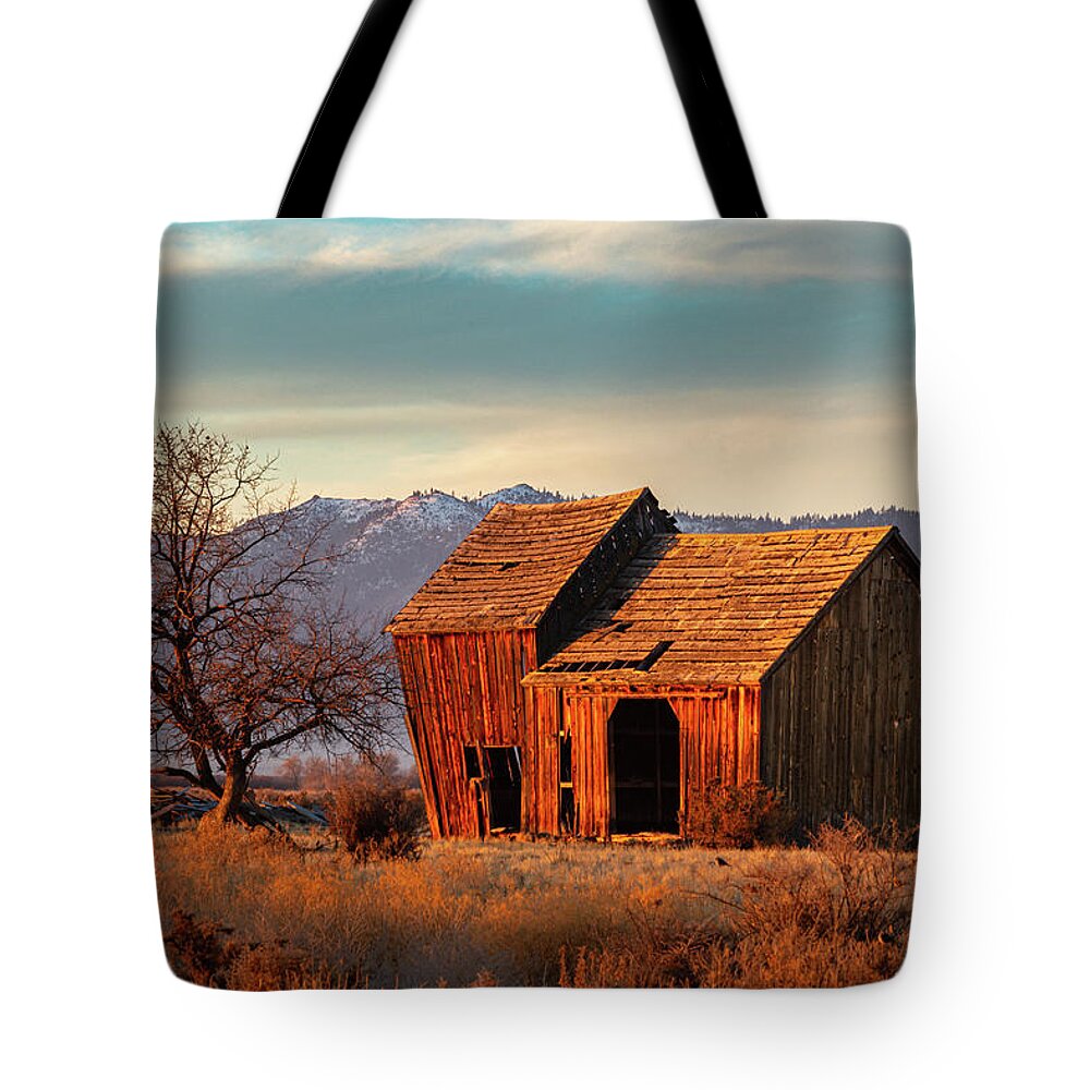 Abandoned Tote Bag featuring the photograph The Old Barn by Mike Lee