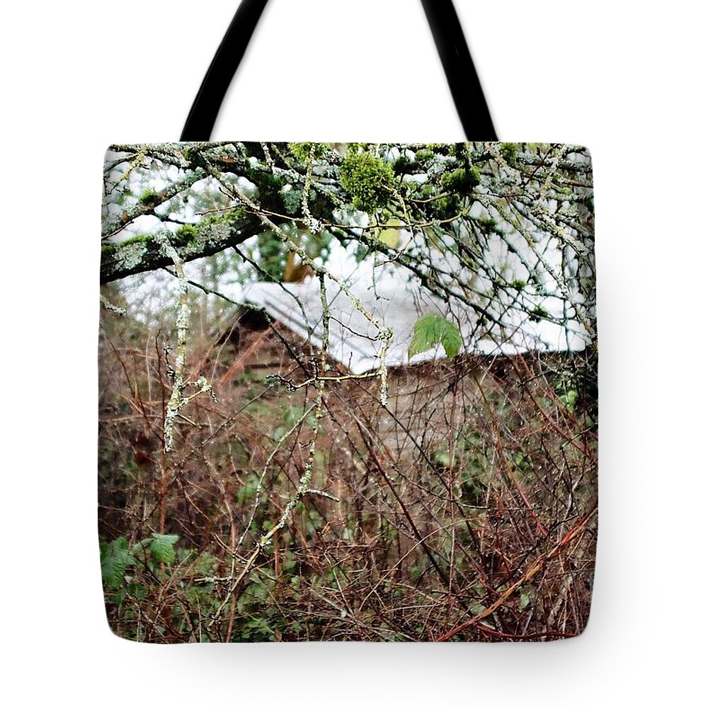 Shed Tote Bag featuring the photograph The Old Shed by Kimberly Furey