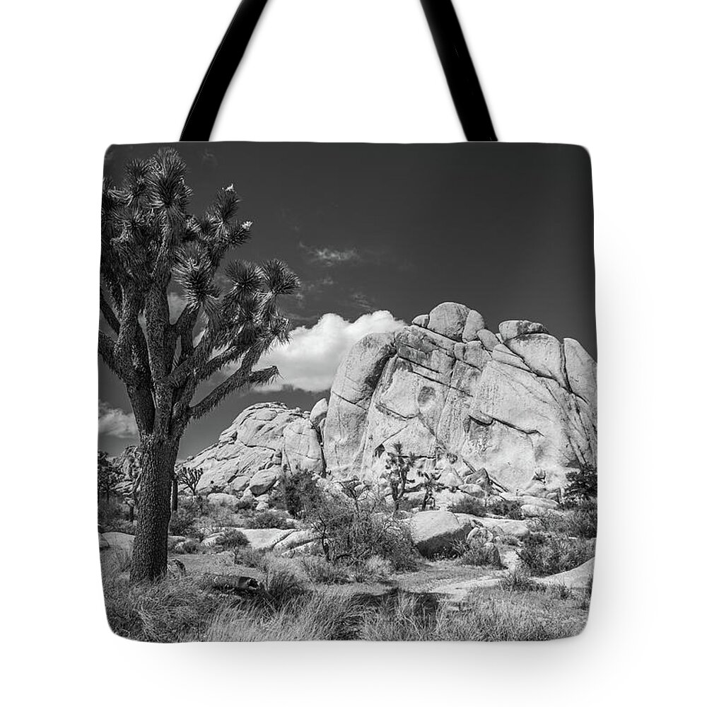  Tote Bag featuring the photograph The Old Woman - 2023 Black and White by Peter Tellone