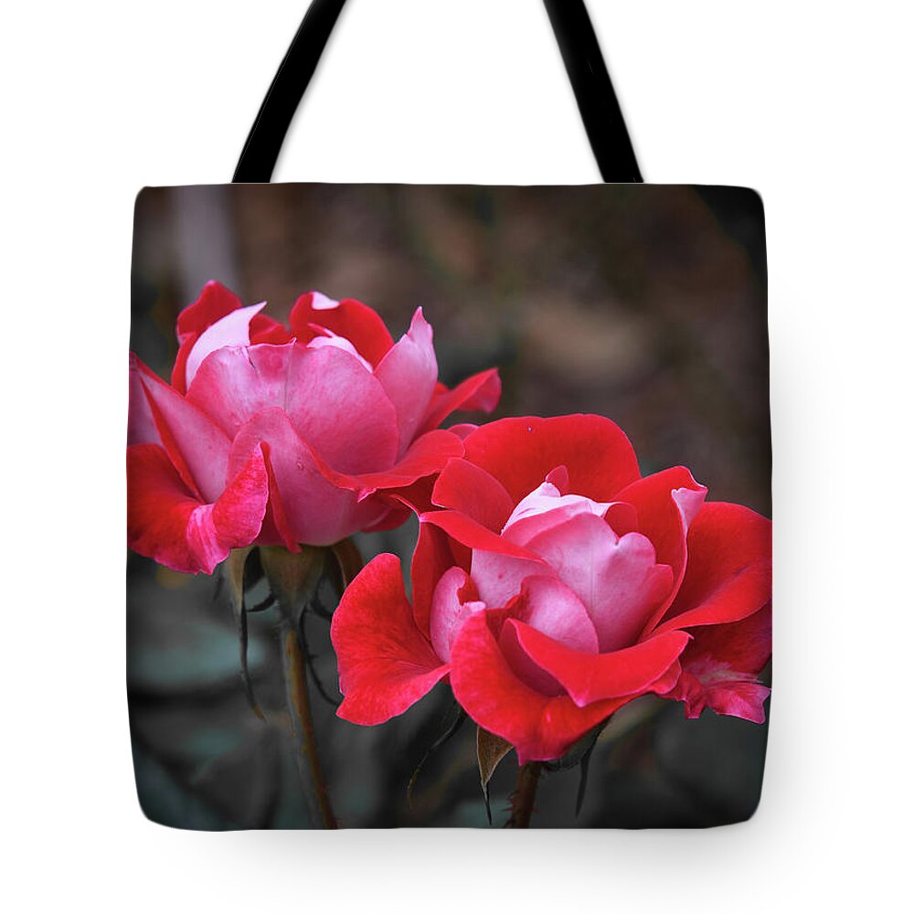 Fire 'n Ice Tote Bag featuring the photograph The Paradox of Color by Diana Mary Sharpton