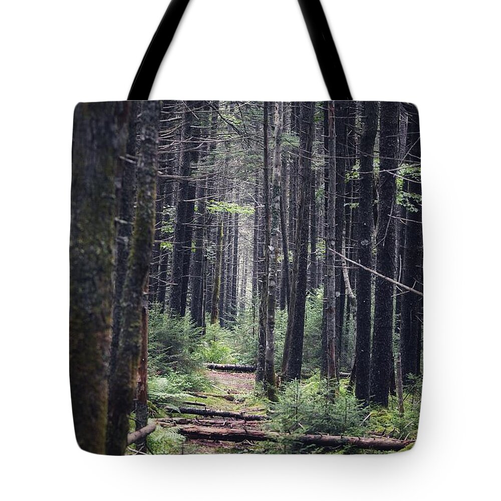 Hiking Tote Bag featuring the photograph The Path Ahead by Evan Foster