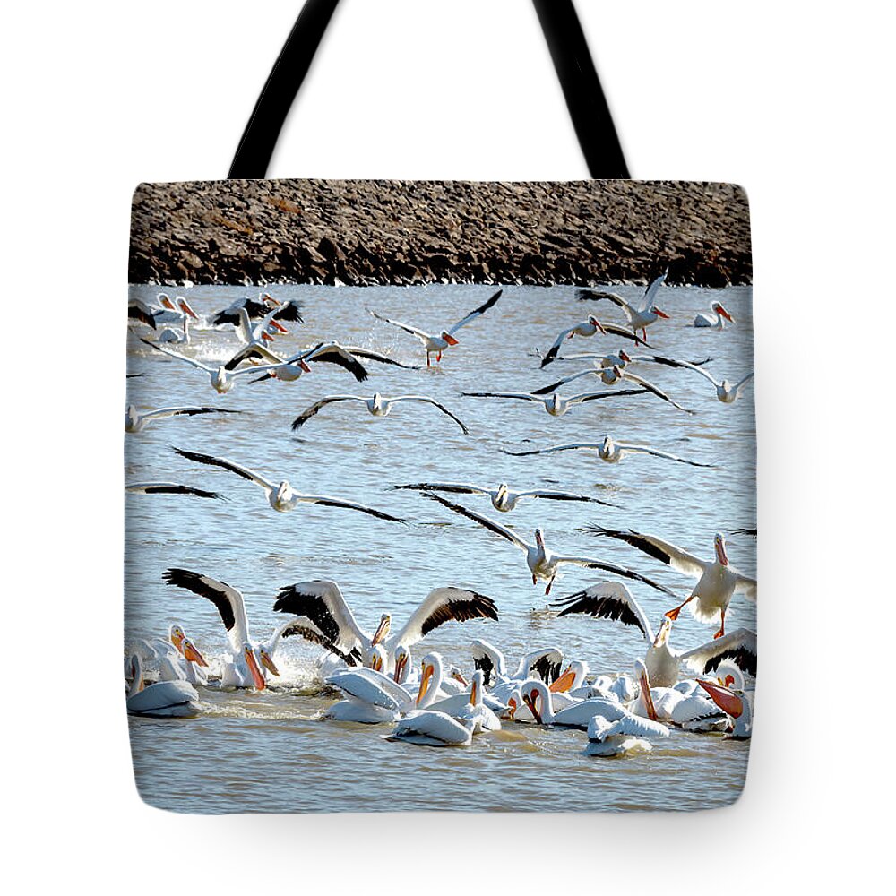 American White Pelicans Tote Bag featuring the photograph The Pelicans Found the Fish by Debra Martz