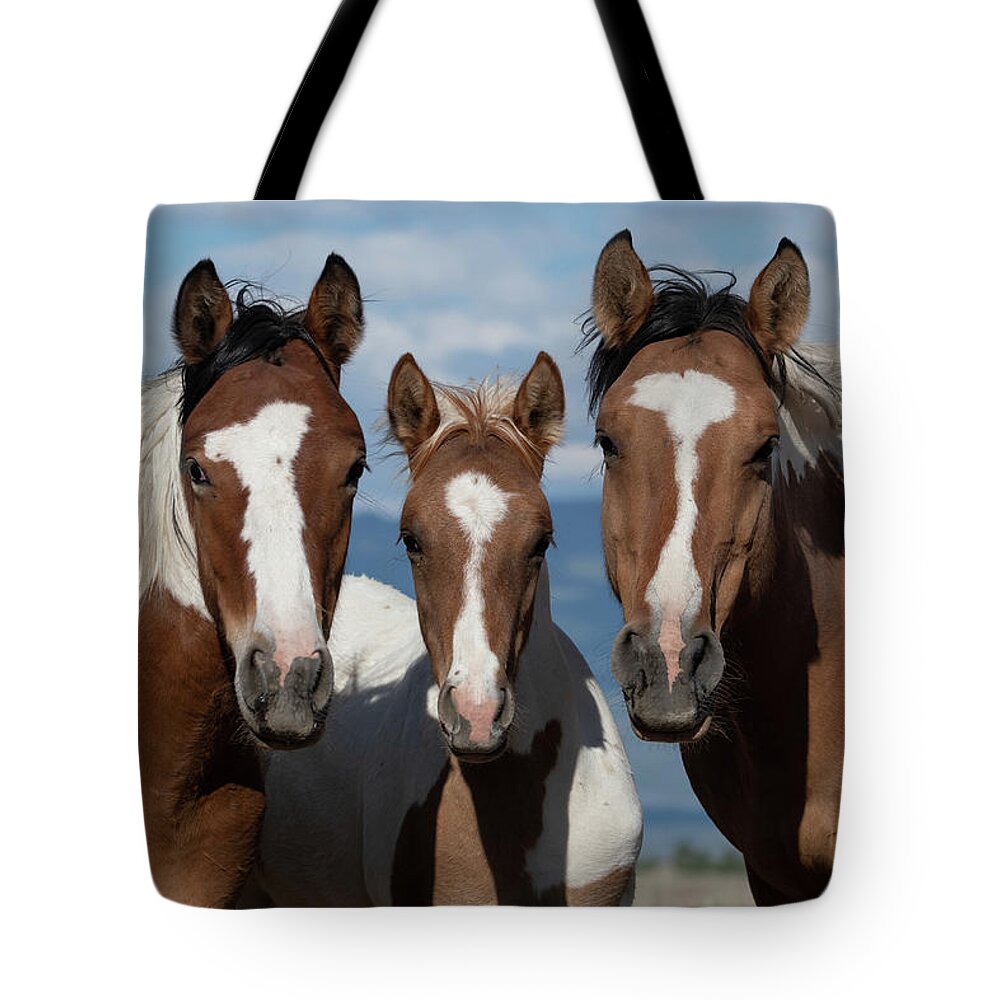 Wild Horses Tote Bag featuring the photograph The Perfect Pose by Mary Hone