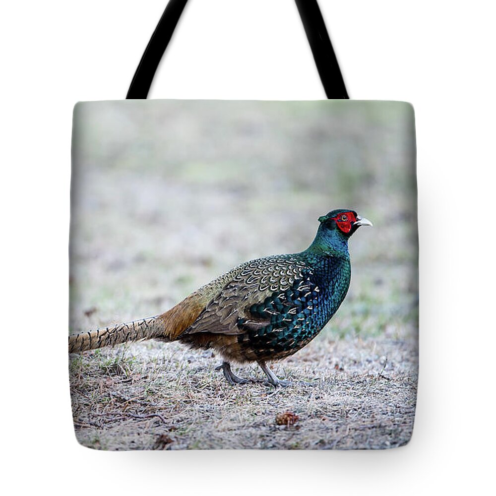 Phasianus Colchicus Colchicus Tote Bag featuring the photograph The Pheasant Beauty by Torbjorn Swenelius