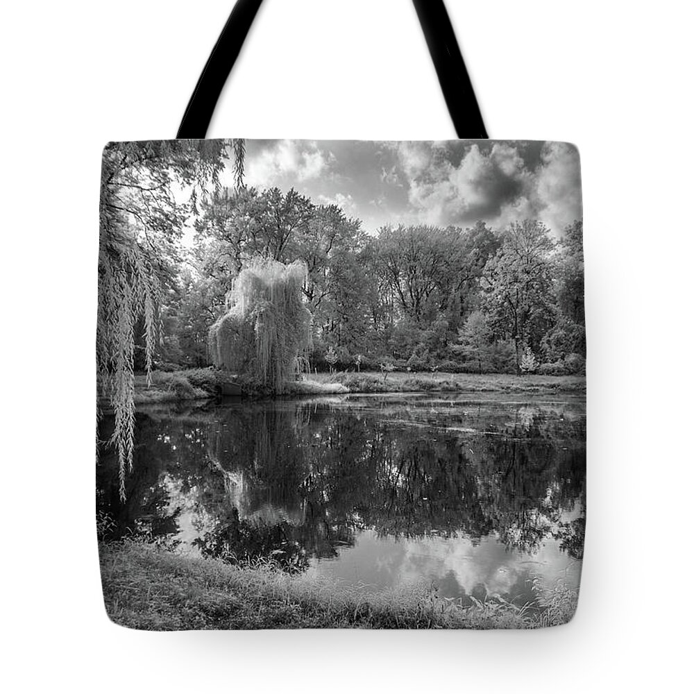Trees Tote Bag featuring the photograph The Pond at Meisel Avenue Park by Alan Goldberg