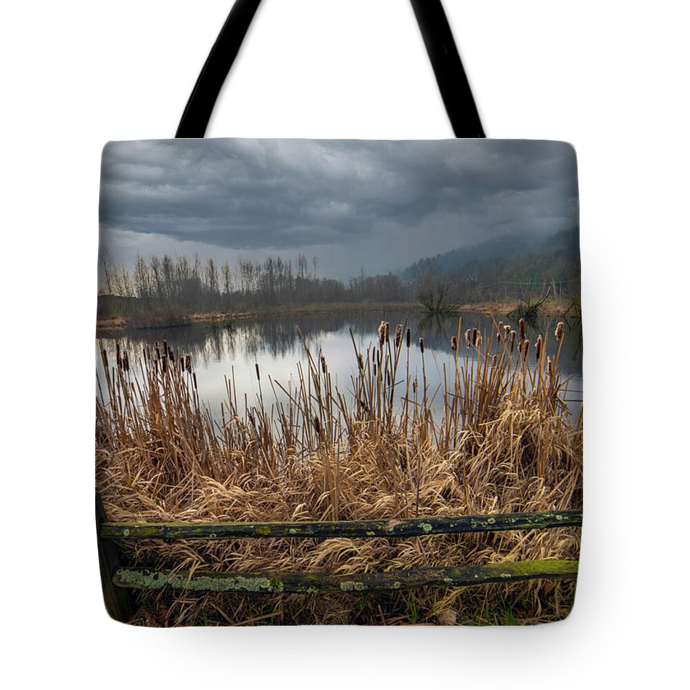 Pond Tote Bag featuring the photograph The Pond by Jerry Cahill