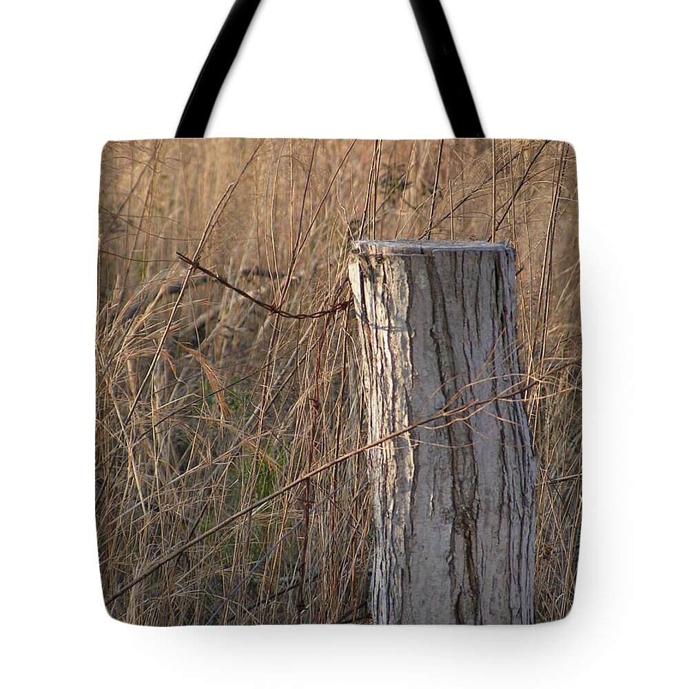 Tote Bag featuring the photograph The Post by Heather E Harman