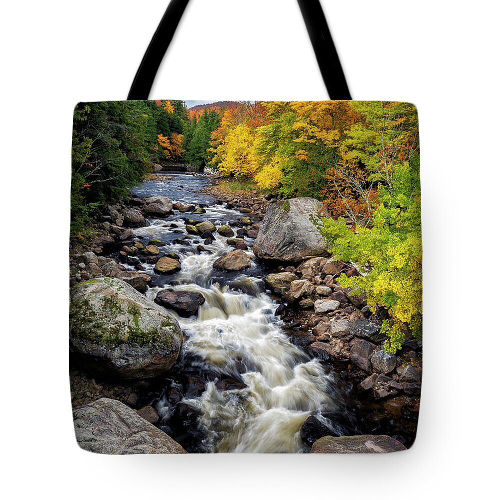 Ausable River Tote Bag featuring the photograph The Raging Ausable River by Mark Papke