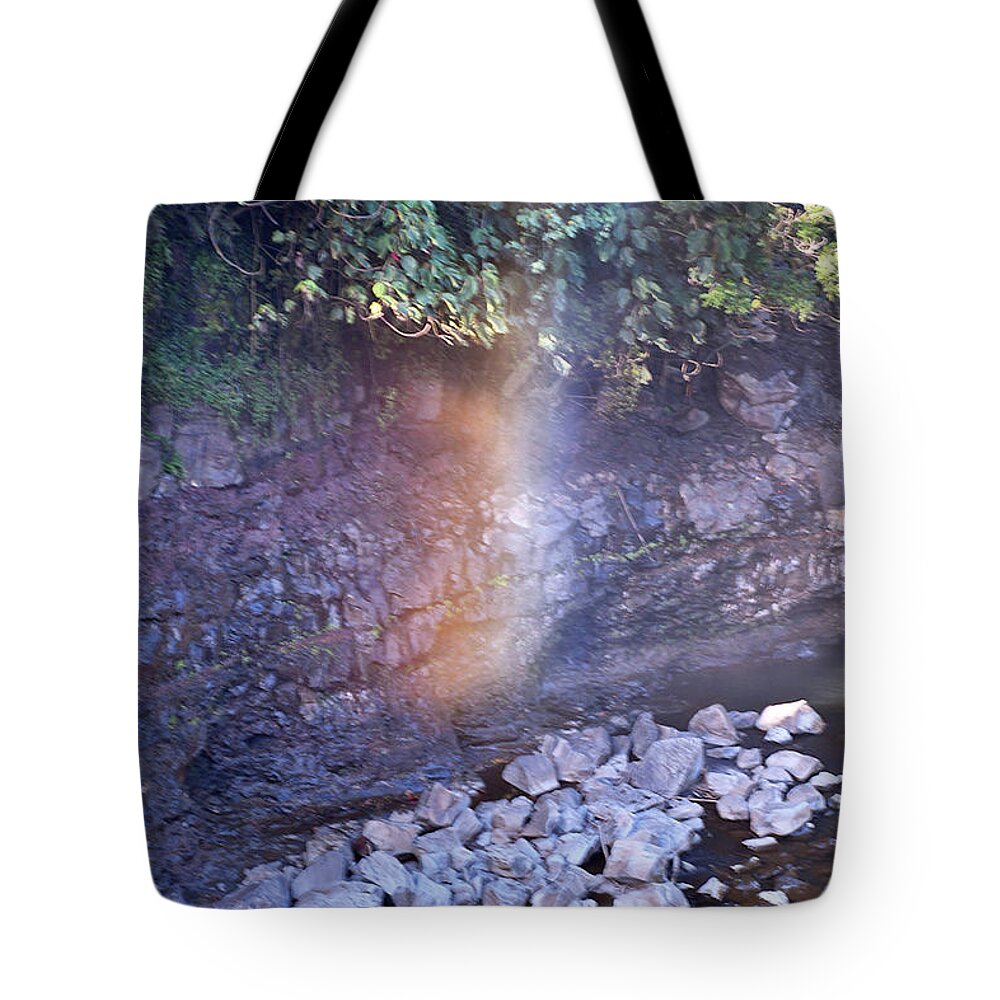 Rainbow Tote Bag featuring the photograph The Rainbow by Cindy Murphy