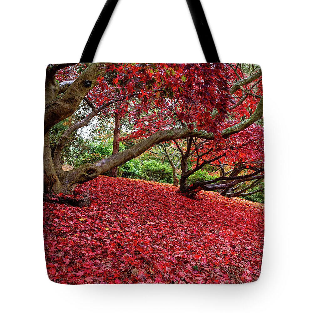 Landscape Tote Bag featuring the photograph The Red Carpet by Shirley Mitchell