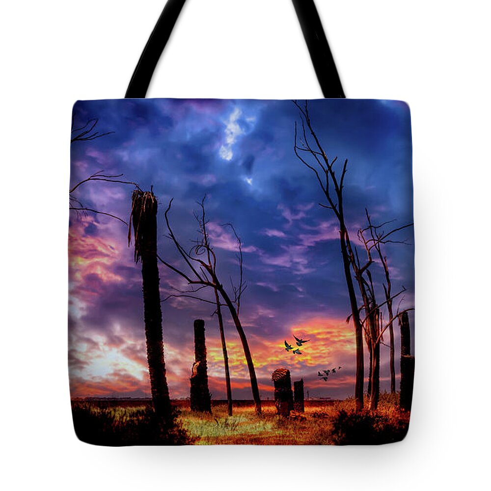 Sky Tote Bag featuring the photograph The Remains of the Day by Micah Offman