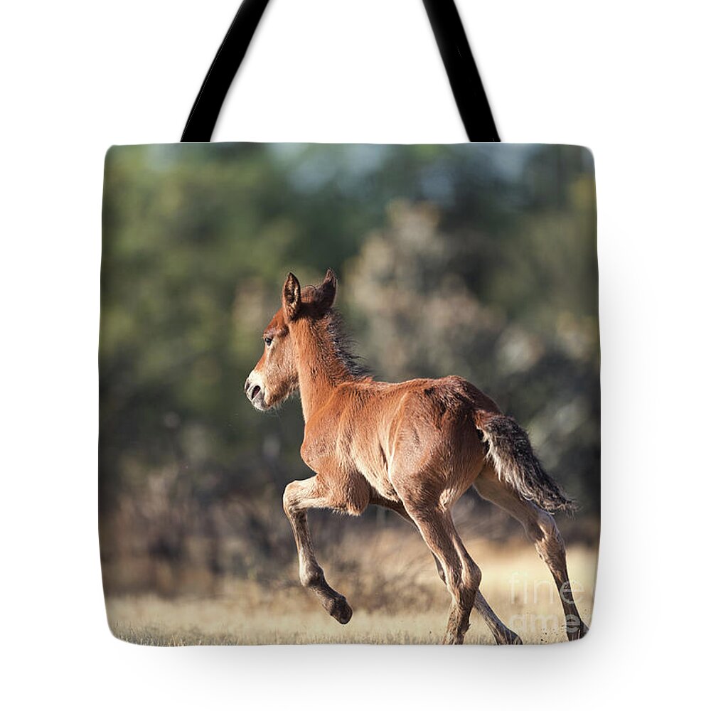 Foal Tote Bag featuring the photograph The Return by Shannon Hastings