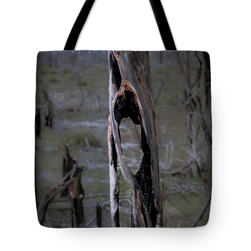 Art Tote Bag featuring the photograph The Scream Inspired by Munch by Mary Lee Dereske