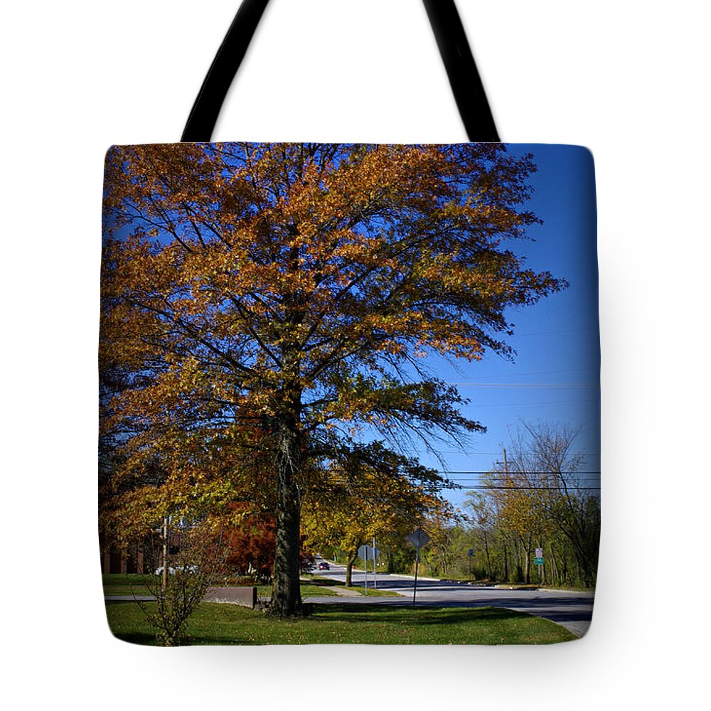 Landscape Tote Bag featuring the photograph The Seasons of Life by Frank J Casella