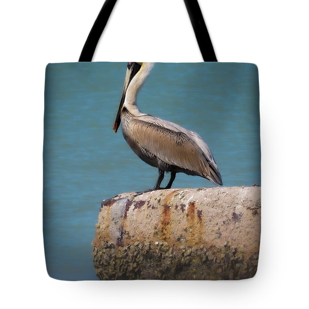 Pelican Tote Bag featuring the photograph The Sentry by Vicky Edgerly