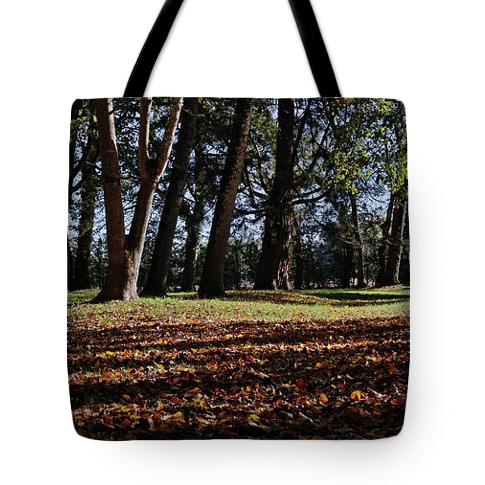 Landscape Tote Bag featuring the photograph The shadow of a caress by Karine GADRE