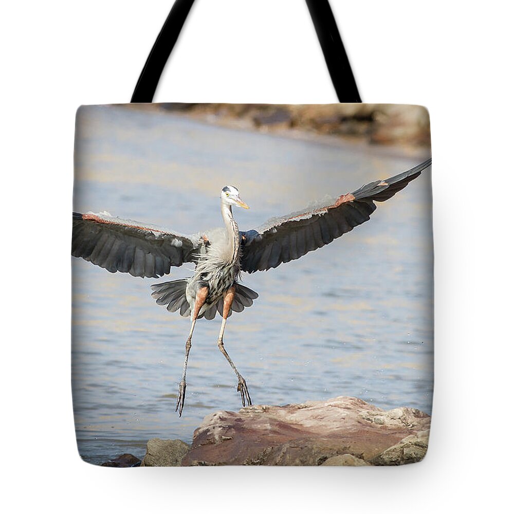Great Blue Heron Tote Bag featuring the photograph Touchdown by Annette Hugen