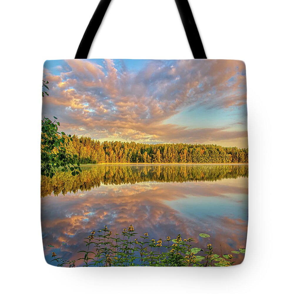The Beauty Of Silence Tote Bags