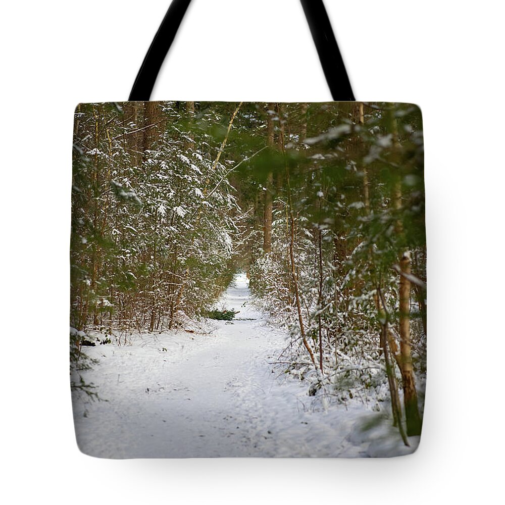 Forrest Tote Bag featuring the photograph The snowy forest path by MPhotographer