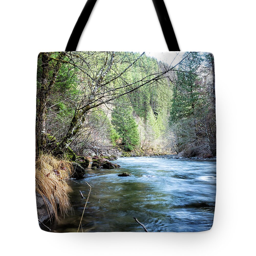 South Fork Tote Bag featuring the photograph The South Fork of the McKenzie River by Belinda Greb
