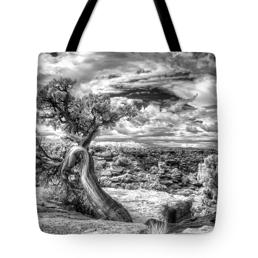 Nationalparks; Utah; Black And White; Tree; Wisdom; Ancient; Native American; Department Of Interior Tote Bag featuring the photograph The Spirit Tree - Canyonlands National Park - Utah by William Rainey