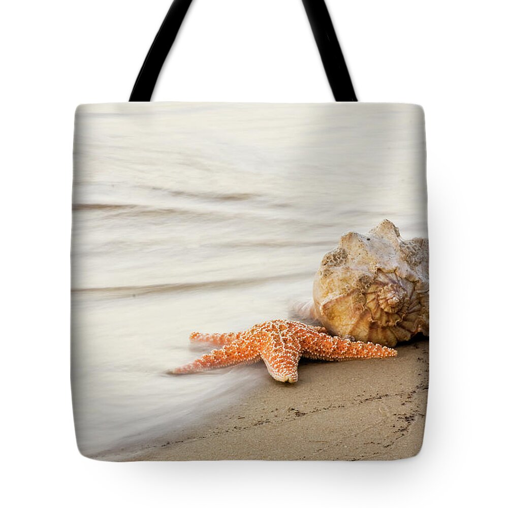 Starfish Tote Bag featuring the photograph The Starfish and the Shell at Atlantic Beach North Carolina by Bob Decker