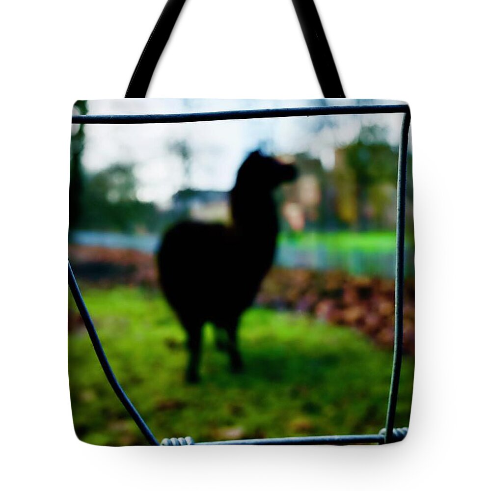  Tote Bag featuring the photograph The Street Photo 8 by So Sugawara