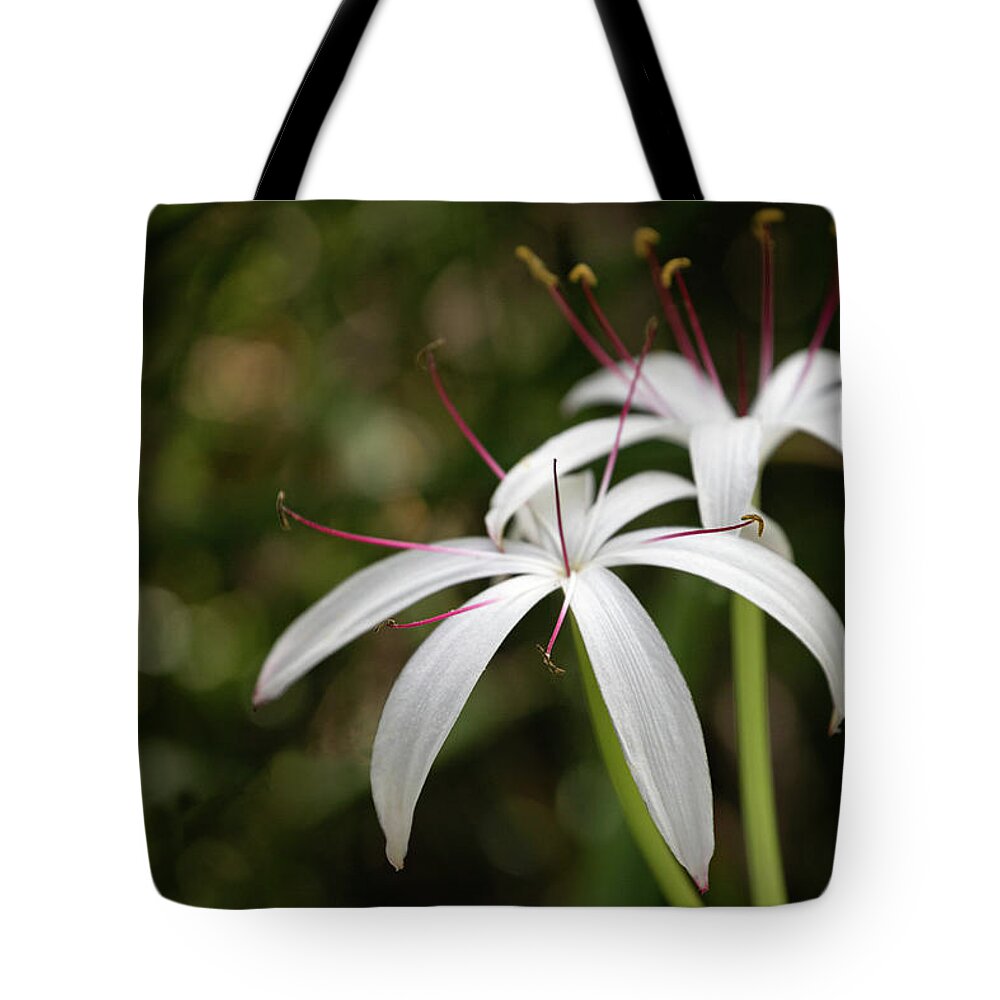 Lakeland Tote Bag featuring the photograph The String Lily by Robert Carter