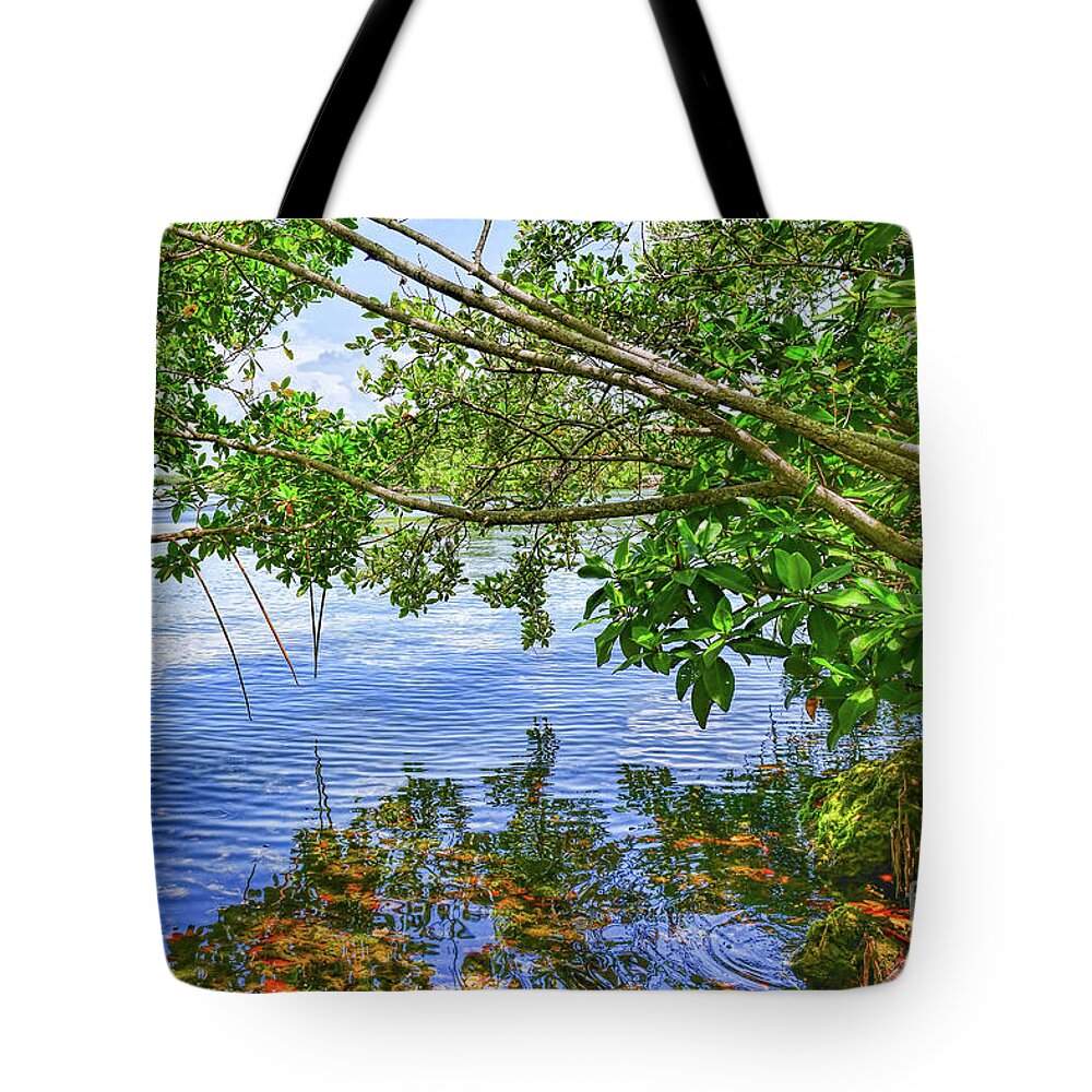 Melody Of Summer Noon Tote Bag featuring the photograph The Summer Noon by Olga Hamilton
