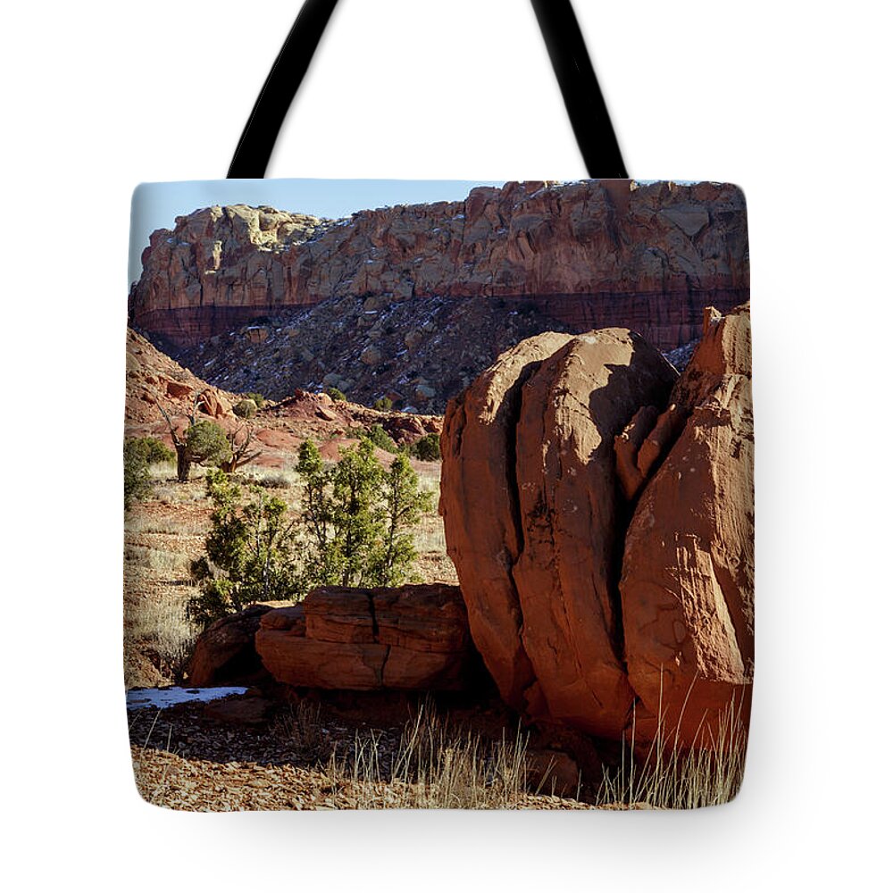 Landscape Tote Bag featuring the photograph The Three Amigos by Steve Templeton