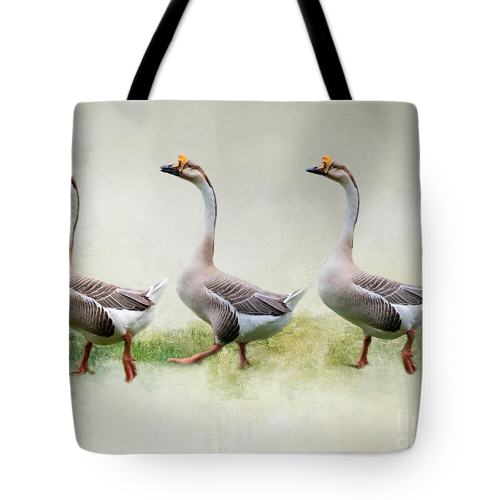 Chinese Geese Tote Bag featuring the photograph The Three Graces by Eva Lechner