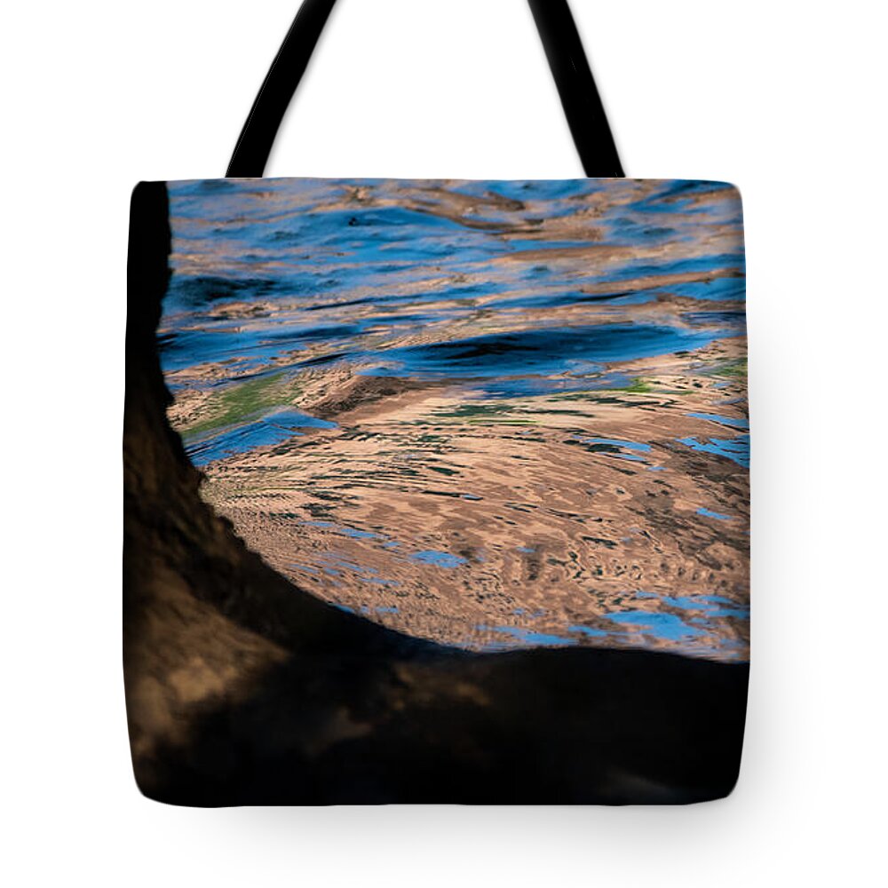 Water Tote Bag featuring the photograph The Tree and the River by Linda Bonaccorsi