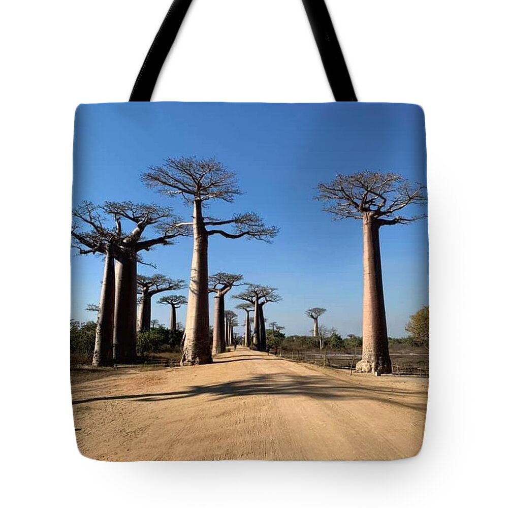 All Tote Bag featuring the digital art The Trees on the Road in Baobab Alley in Madagascar KN51 by Art Inspirity