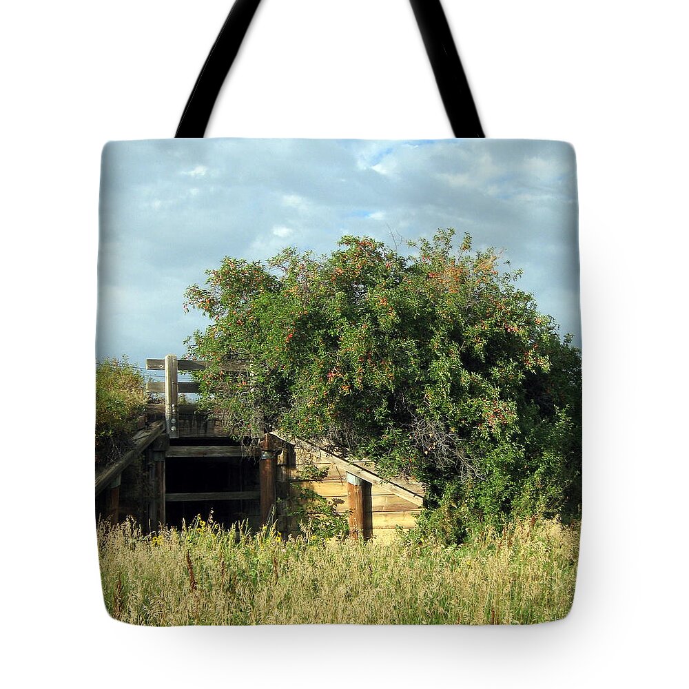 Tunnel Tote Bag featuring the photograph The Tunnel and the Wild Plum Thicket by Katie Keenan