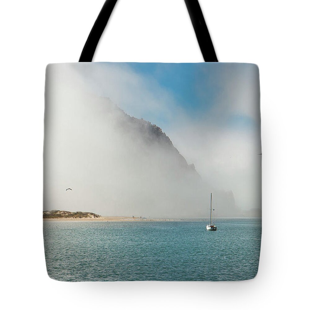 Fog Tote Bag featuring the photograph The Unveiling by Gina Cinardo